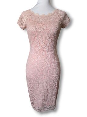 Sequin Hearts Blush Lace Midi Sheath Dress -  Size Small
